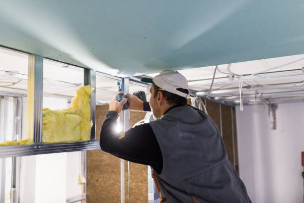 Best Professional Insulation Contractor  in USA